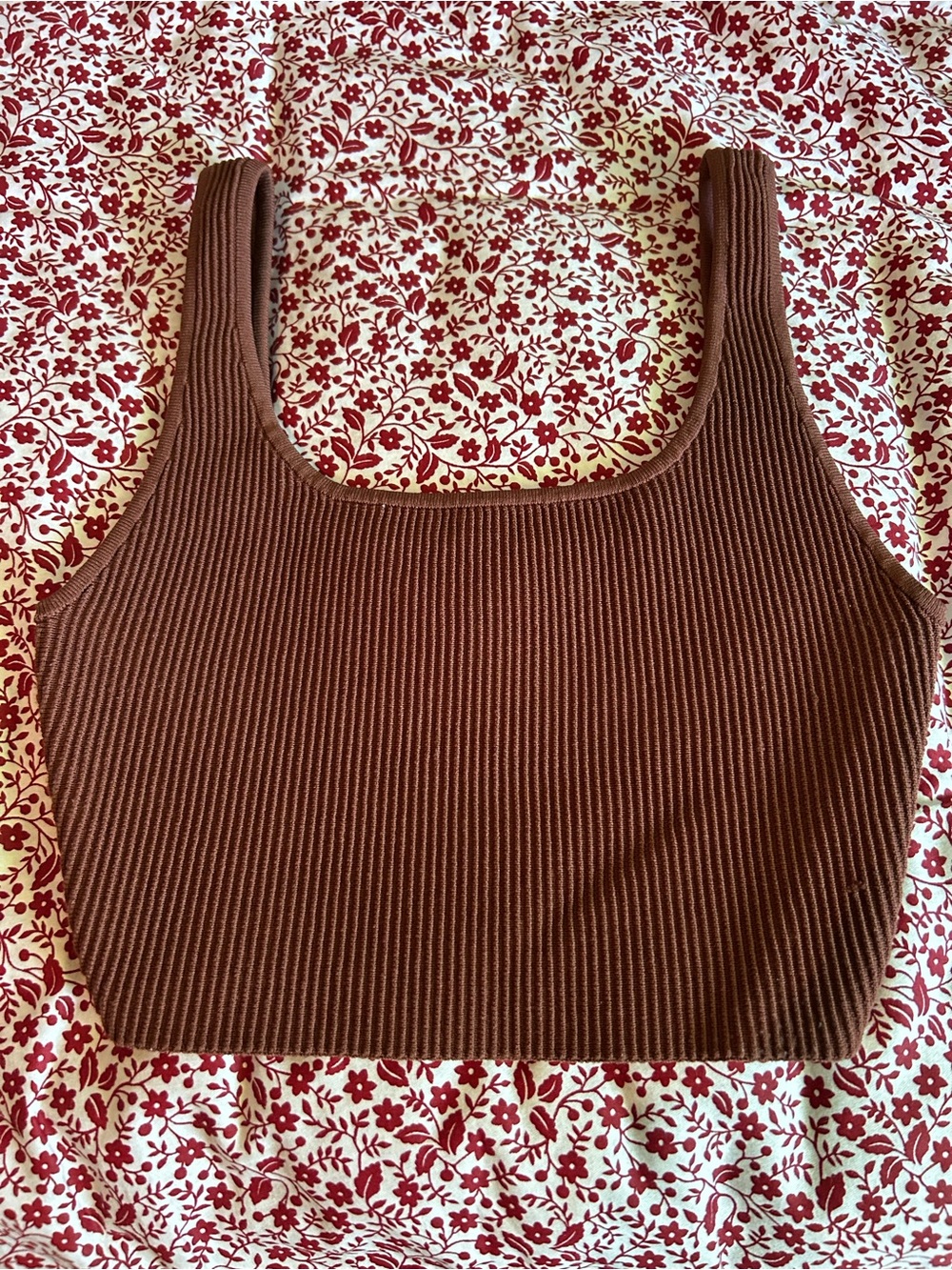 Aritzia crop top 🤎